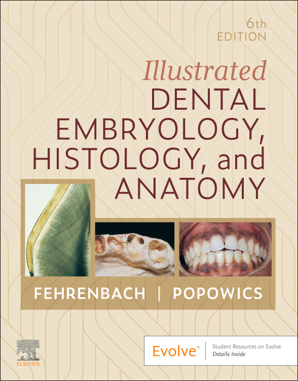 Test Bank for Illustrated Dental Embryology, Histology and Anatomy 6th Edition by Margaret J. Fehrenbach