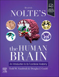 Test Bank for Nolte's The Human Brain 9th Edition by Todd W. Vanderah
