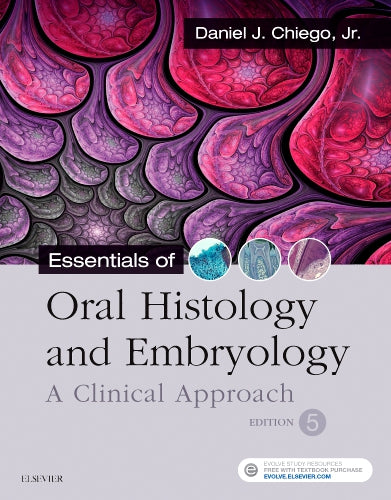 Test Bank for Essentials of Oral Histology and Embryology 5th Edition by Daniel J. Chiego Jr.