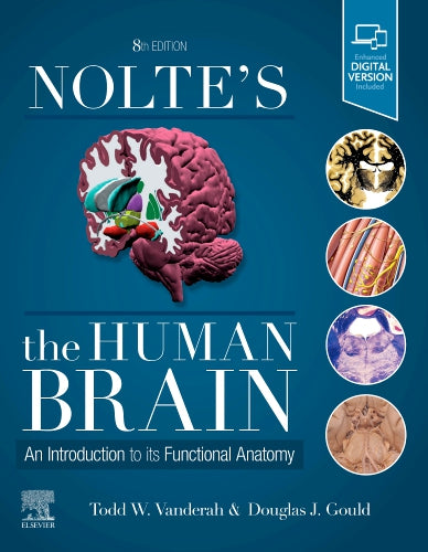 Test Bank for Nolte's The Human Brain 8th Edition by Todd W. Vanderah