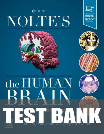 Test Bank for Nolte's The Human Brain 8th Edition by Todd W. Vanderah