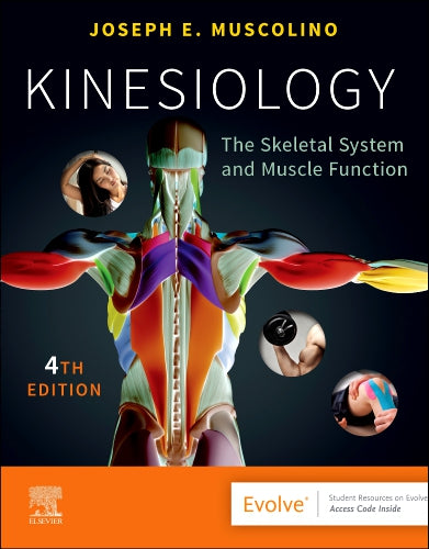 Test Bank for Kinesiology 4th Edition by Joseph E. Muscolino