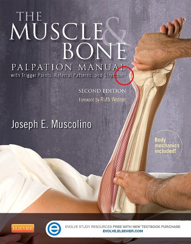 Test Bank for The Muscle and Bone Palpation Manual with Trigger Points, Referral Patterns and Stretching 2nd Edition by Joseph E. Muscolino