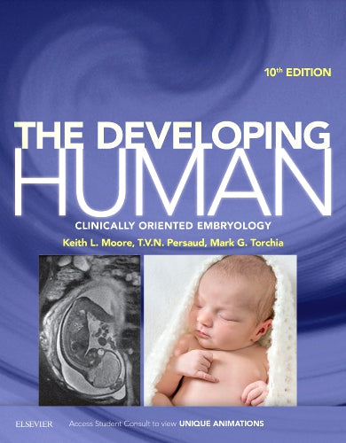 Test Bank for The Developing Human 10th Edition by Keith L. Moore