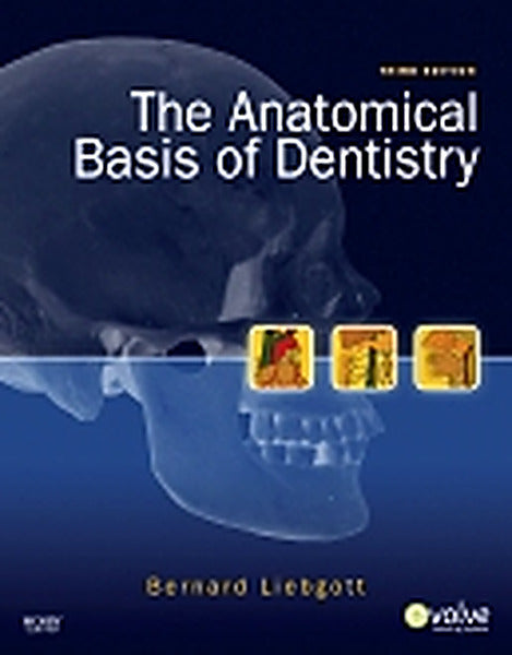 Test Bank for The Anatomical Basis of Dentistry 3rd Edition by Bernard Liebgott