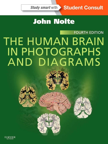 Test Bank for The Human Brain in Photographs and Diagrams 4th Edition by John Nolte