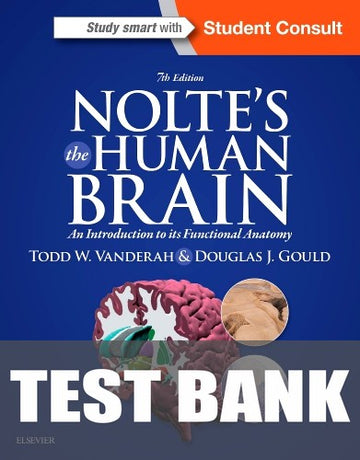 Test Bank for Nolte's The Human Brain 7th Edition by Todd W. Vanderah