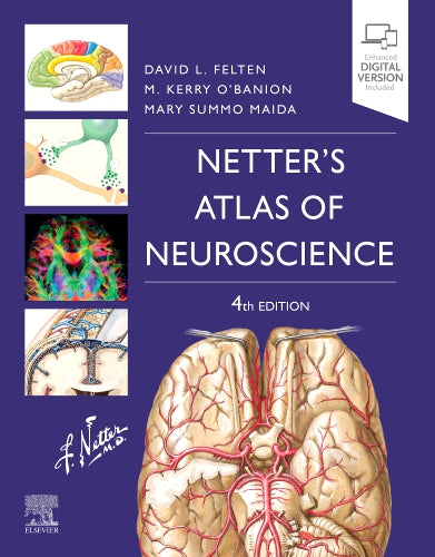 Test Bank for Netter's Atlas of Neuroscience 4th Edition by David L. Felten