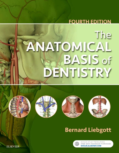 Test Bank for The Anatomical Basis of Dentistry 4th Edition by Bernard Liebgott