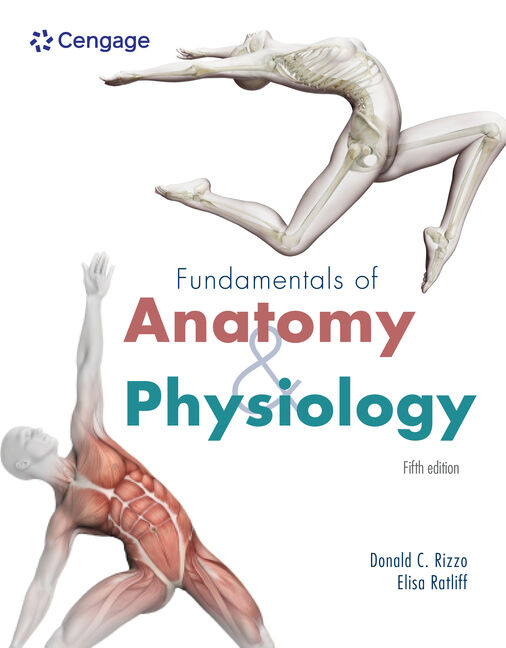 Test Bank for Fundamentals of Anatomy and Physiology 5th Edition by Dr. Donald C. Rizzo