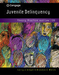Instructor Manual for Juvenile Delinquency: Theory, Practice, and Law 13th Edition by Larry J. Siegel