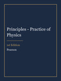 Solutions Manual for Principles - Practice of Physics 1st Edition