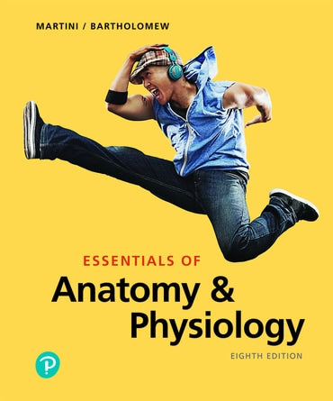 Test Bank for Essentials of Anatomy & Physiology 8th Edition by Frederic H Martini