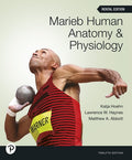 Instructor Manual for Marieb Human Anatomy & Physiology 12th Edition by Katja Hoehn
