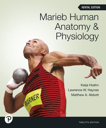 Instructor Manual for Marieb Human Anatomy &amp; Physiology 12th Edition by Katja Hoehn