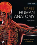 Test Bank for Marieb Human Anatomy 10th Edition by Patricia Brady