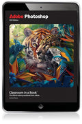 Instructor Manual for Adobe Photoshop Classroom in a Book 2024 Release 1st Edition by Conrad Chavez