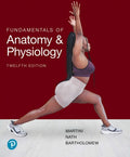 Test Bank for Martini Fundamentals of Anatomy and Physiology 12th Edition by Frederic H Martini