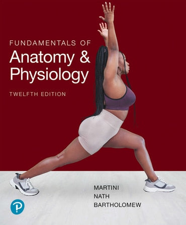 Test Bank for Martini Fundamentals of Anatomy and Physiology 12th Edition by Frederic H Martini