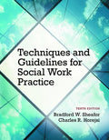 Instructor Manual for Techniques and Guidelines for Social Work Practice 10th Edition by Bradford W. Sheafor