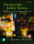 Test Bank for The Juvenile Justice System: Delinquency, Processing, and the Law 9th Edition by Alida V. Merlo