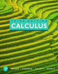 Solutions Manual for Calculus 3rd Edition by William L. Briggs