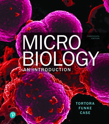 Test Bank for Microbiology: An Introduction 13th Edition by Gerard J. Tortora