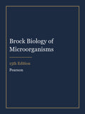 Test Bank for Brock Biology of Microorganisms 15th Edition