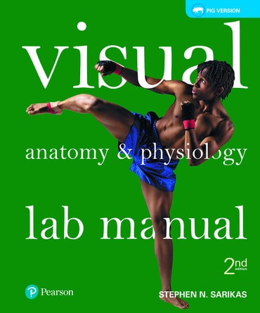 Test Bank for Visual Anatomy & Physiology Lab Manual, Fetal Pig Version 2nd Edition by Stephen N. Sarikas