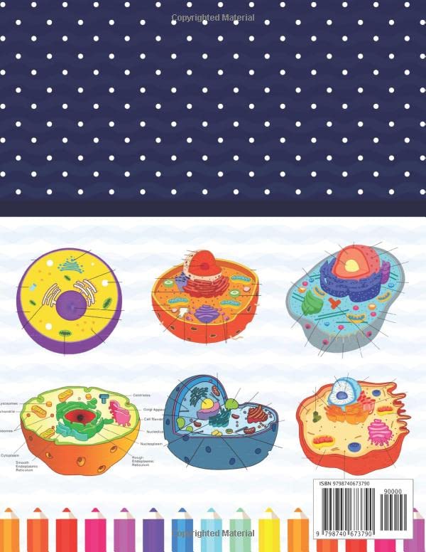 Animal Cell Anatomy Coloring Book: Introduction to Animal Cell Anatomy Workbook. Relax Design for Anatomy Students. Younger kids for learn