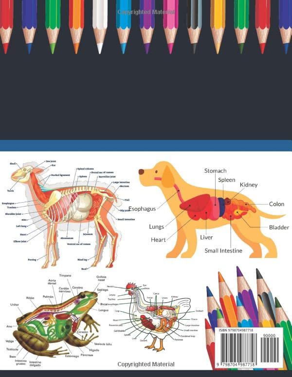 Veterinary Anatomy Coloring Book: Veterinary Anatomy Coloring Book For Medical, High School Students. Anatomy Coloring Book for kids