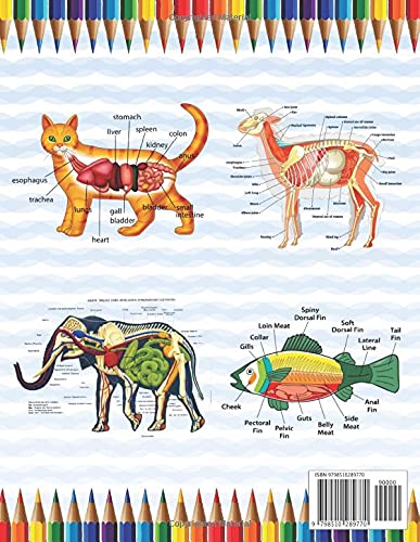 Animal Anatomy Coloring Book: The New Surprising Magnificent Learning Structure For Veterinary Anatomy Students