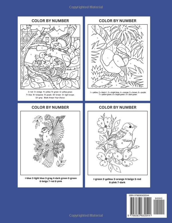 Brid and Flower Color by Number Large Print Adult Coloring Book: Birds and Flowers Large Print Color By Number for Adults