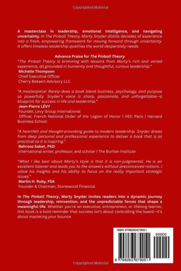 THE PINBALL THEORY OF BUSINESS & LIFE: HARD-EARNED INSIGHTS IN SUPPORT OF LEADERS