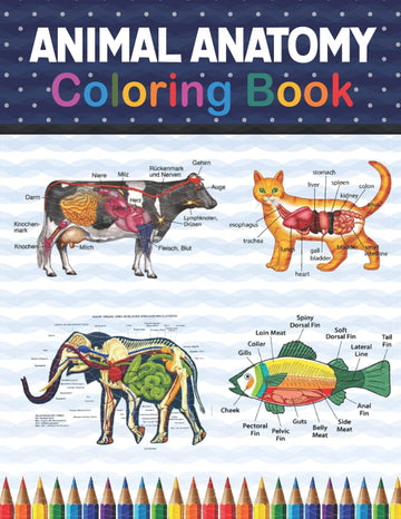 Animal Anatomy Coloring Book: The New Surprising Magnificent Learning Structure For Veterinary Anatomy Students
