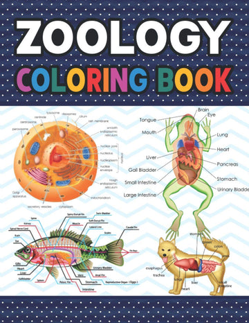 Zoology Coloring Book: Collection of Simple Illustrations of Zoology
