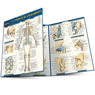 Anatomy of Joints & Ligaments: a QuickStudy Laminated Reference Guide