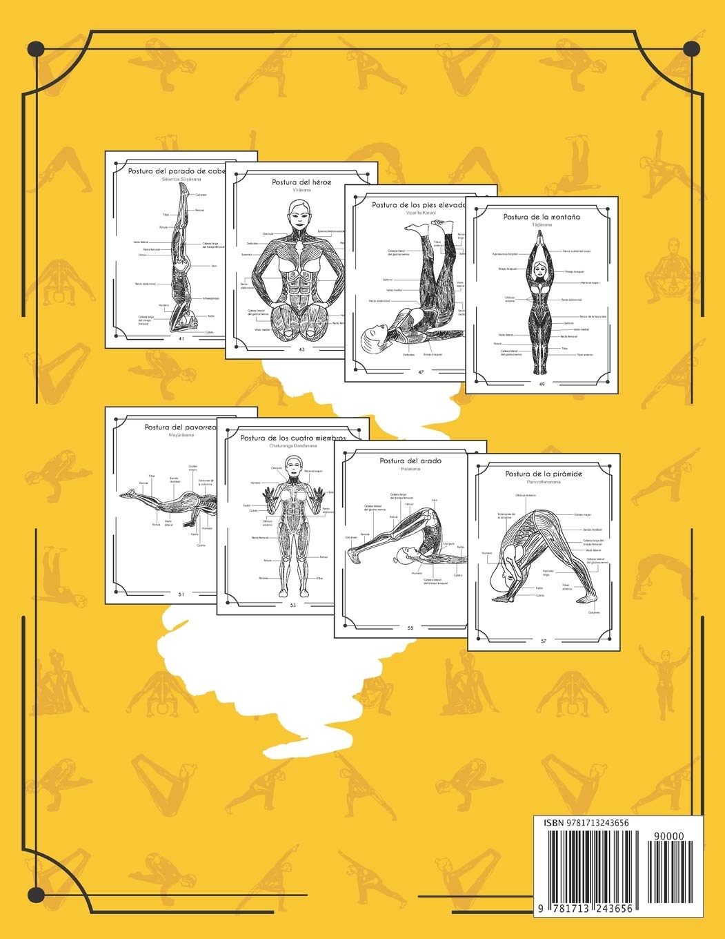 Anatomía Del Yoga Libro Para Colorear: Una Nueva Visión De Las Posturas De Yoga (Spanish Edition)