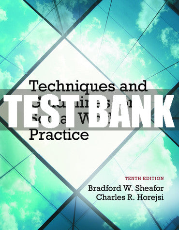 Test Bank Techniques and Guidelines for Social Work Practice 10th Edition