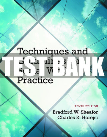 Test Bank Techniques and Guidelines for Social Work Practice 10th Edition